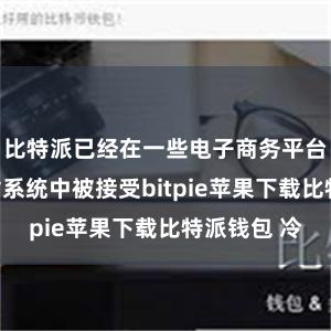 比特派已经在一些电子商务平台和线上支付系统中被接受bitpie苹果下载比特派钱包 冷