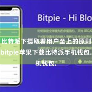 比特派下摄取着用户至上的原则bitpie苹果下载比特派手机钱包.