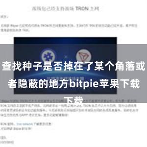 查找种子是否掉在了某个角落或者隐蔽的地方bitpie苹果下载