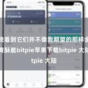 我看到它们并不像我期望的那样金黄酥脆bitpie苹果下载bitpie 大陆